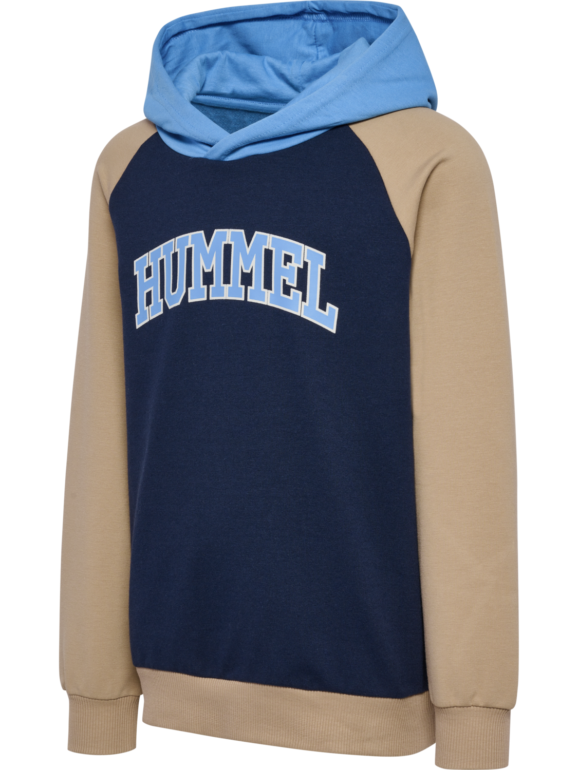 hmlESSEN HOODIE, BLACK IRIS, packshot