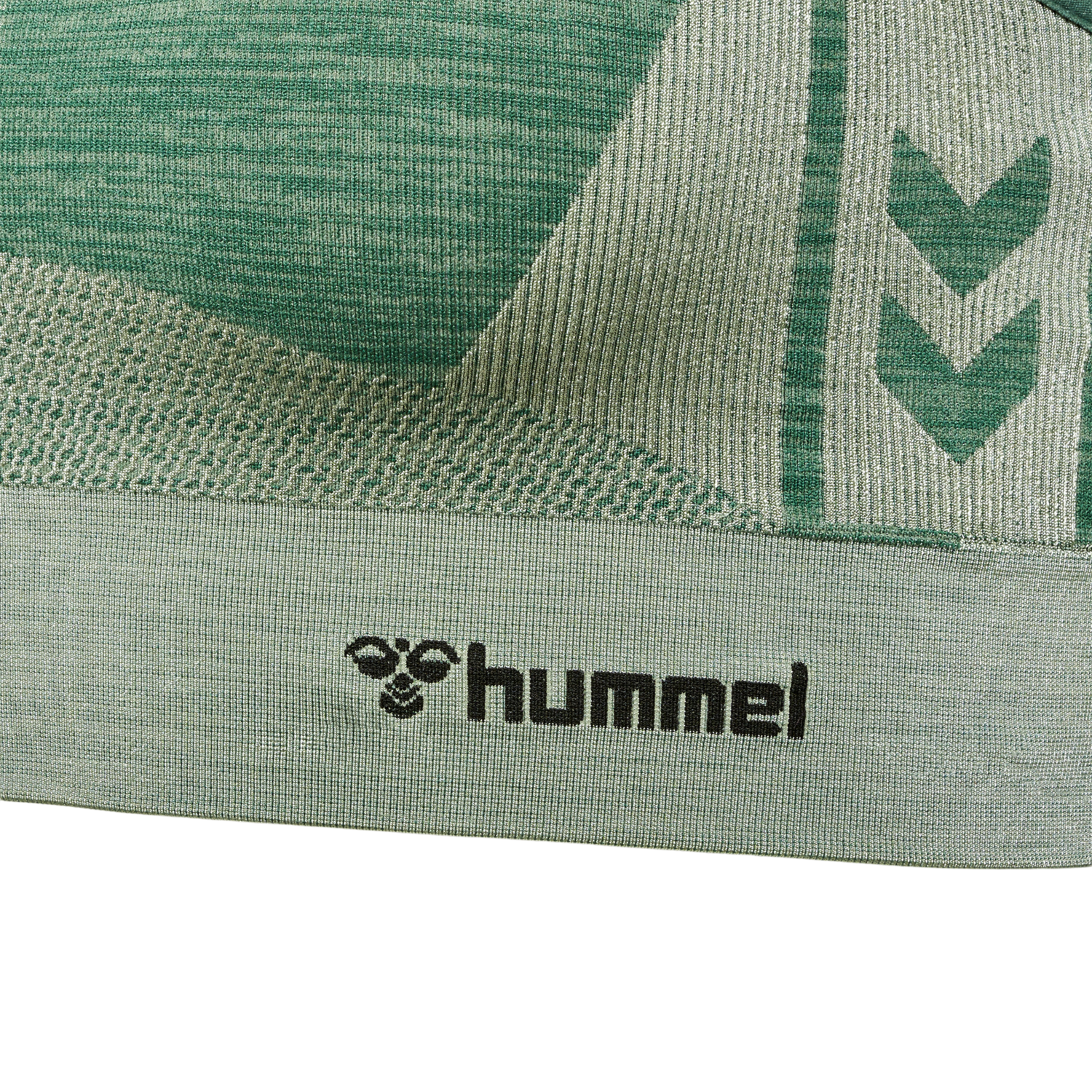 hmlCLEA SEAMLESS  SPORTS TOP, LAUREL WREATH/LILY PAD MELANGE, packshot