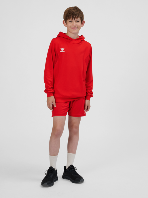 hmlAUTHENTIC PL HOODIE KIDS, TRUE RED, model