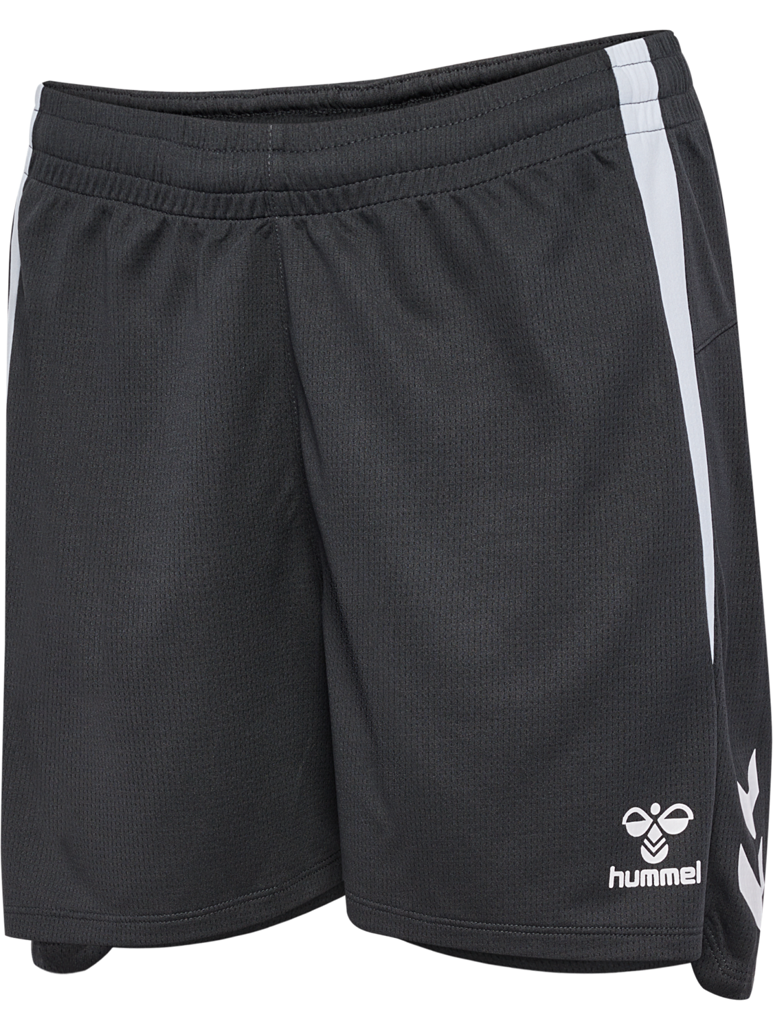 hmlLEAD 2.0 SHORTS WOMAN, ASPHALT, packshot